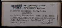 Image Associated With the Occurence